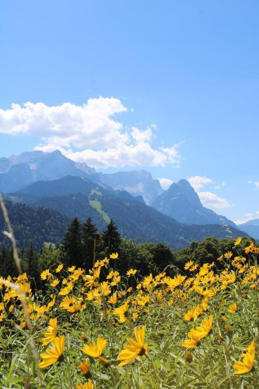 Pfeiffer Alm Am Sonnenhang Mit Blick Auf Die Zugspitze Garmisch-Partenkirchen Bagian luar foto